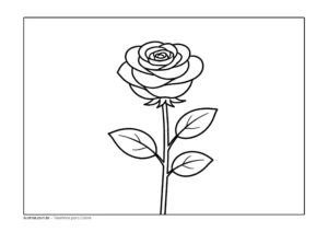 desenho de rosa para colorir